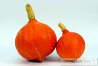 Recept Pumpkin compote - common gourd or common pumpkin