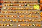 Recept Pumpkin compote - common gourd or common pumpkin