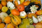 Recept Pumpkin compote - common gourd or common pumpkin
