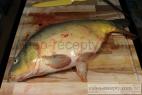 Recept How to clean and fillet carp? - common carp - Cyprinus carpio
